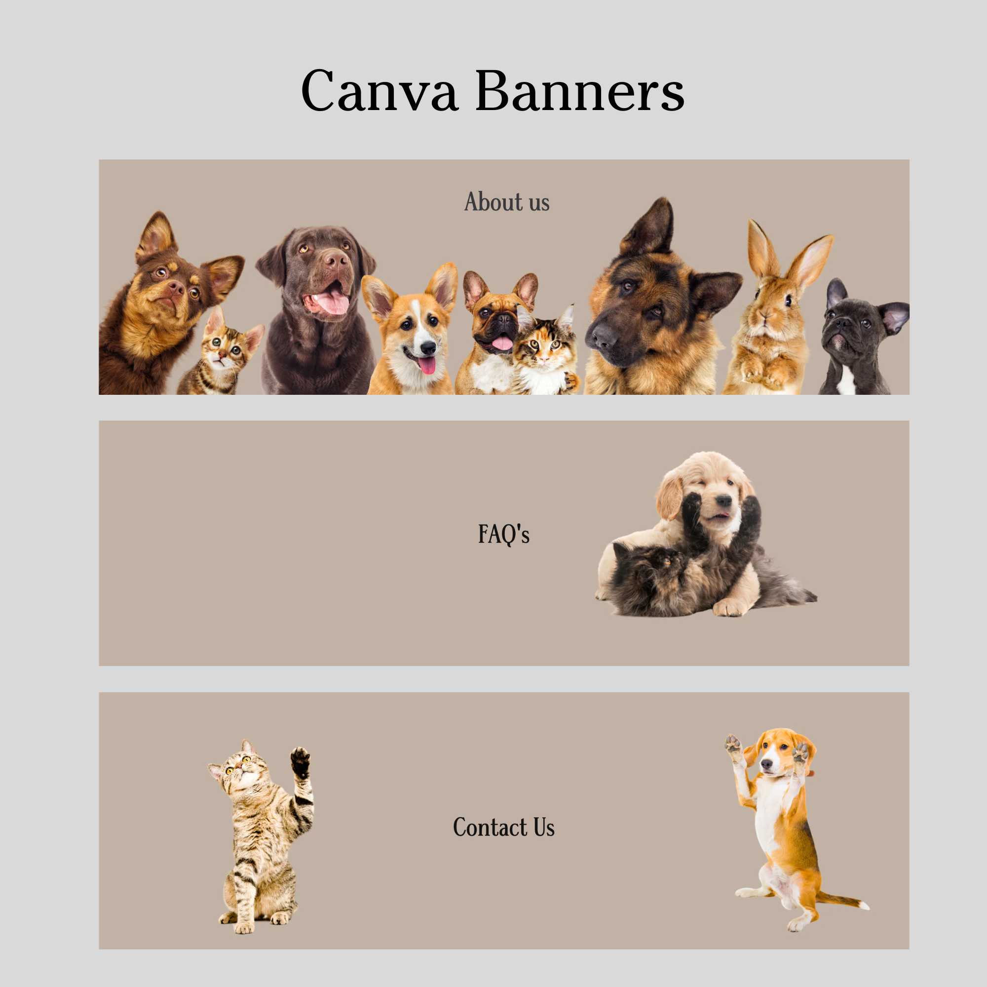 Pet store theme