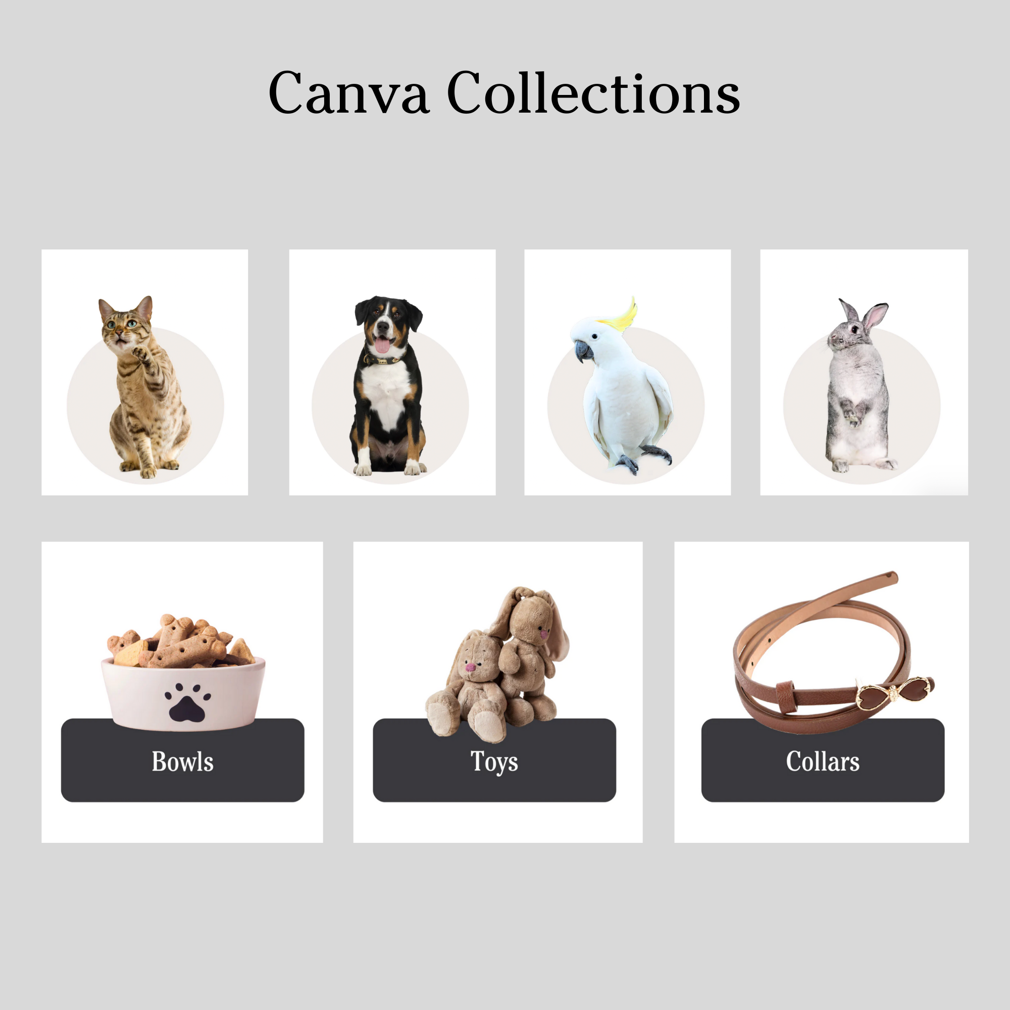 Pet store theme
