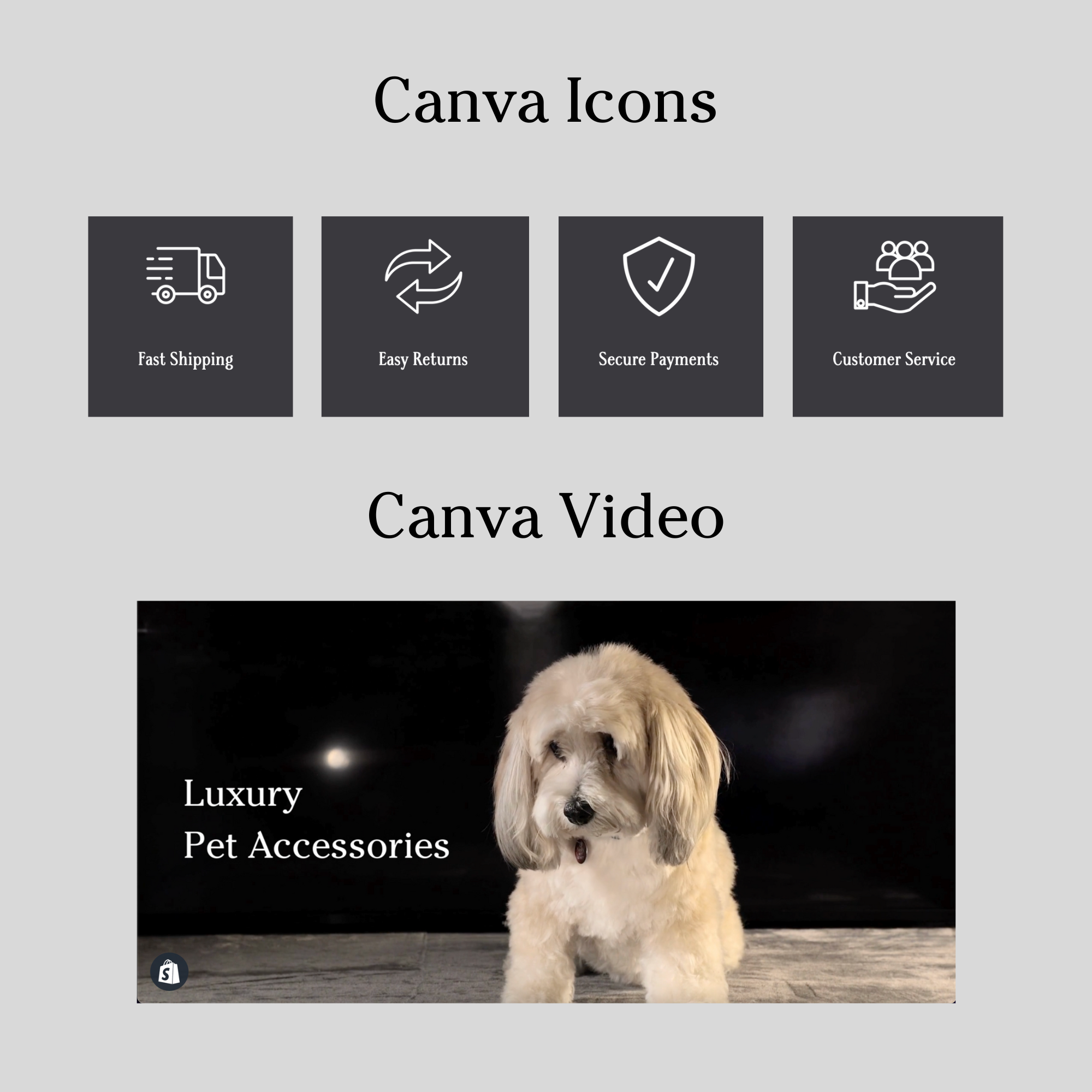 Pet store theme