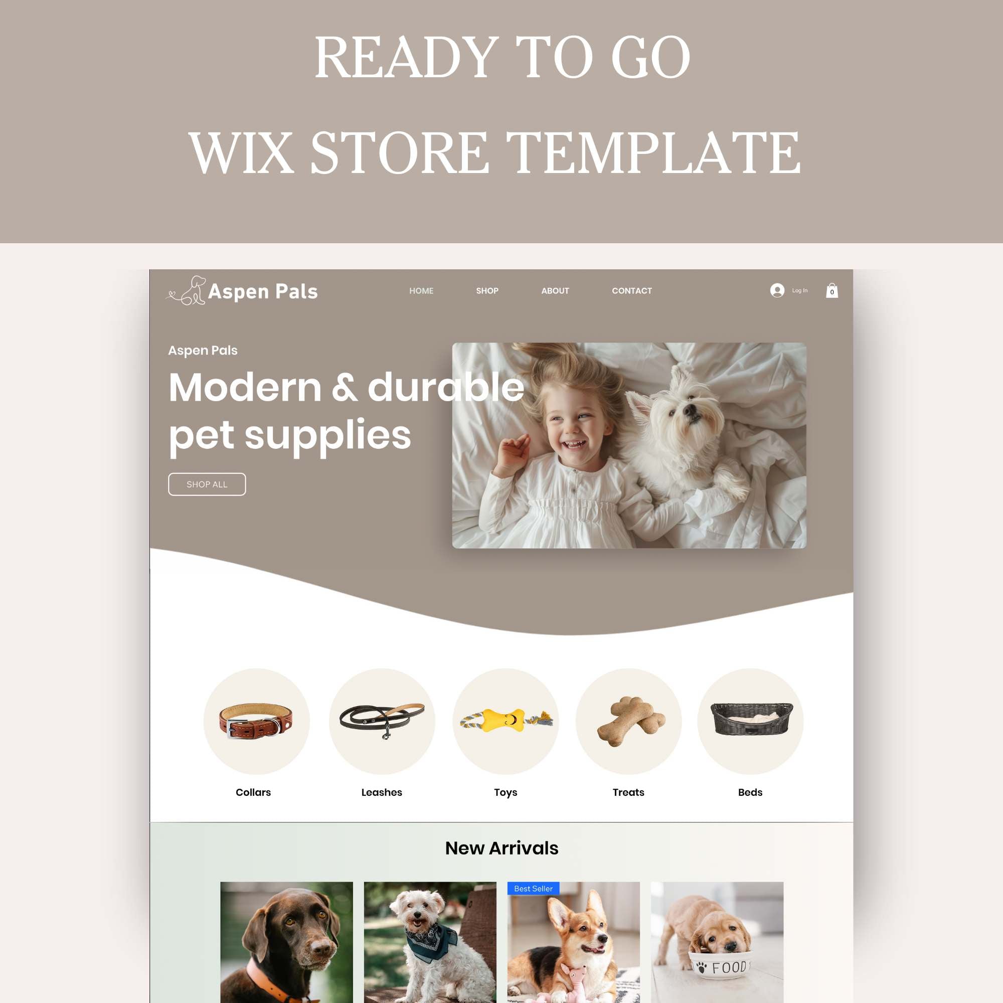 Pet store theme for Wix