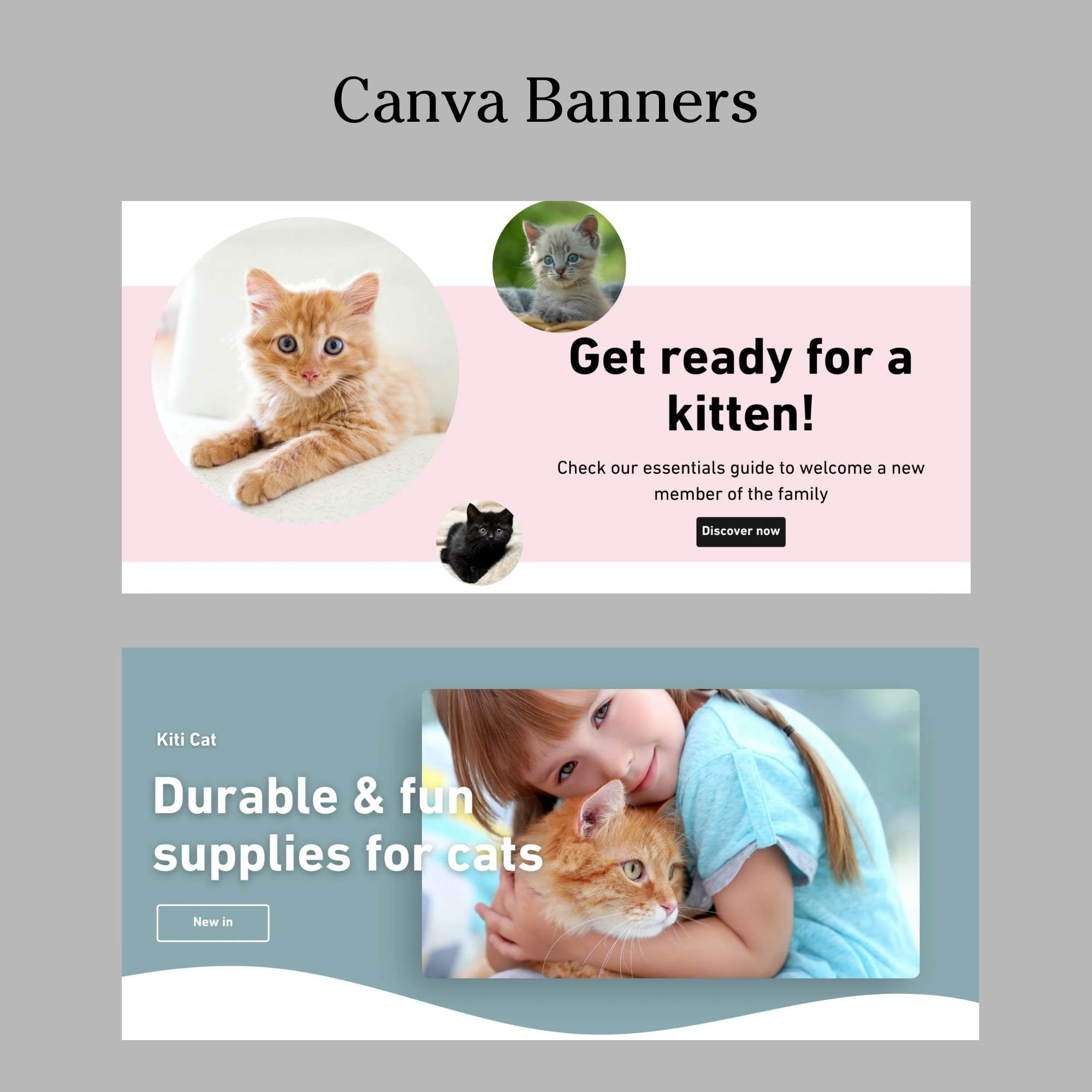 Cat pet store theme