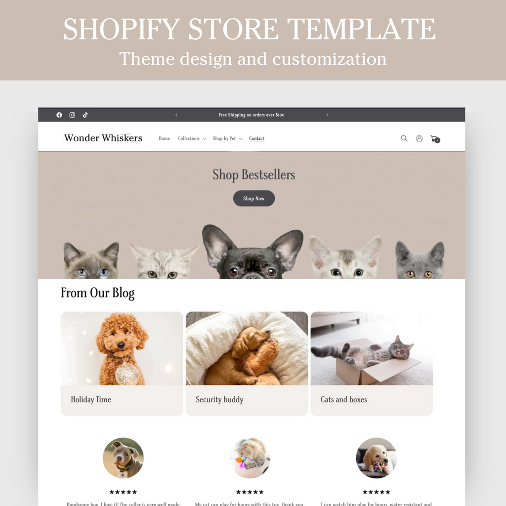 Shopify 2024 cat store